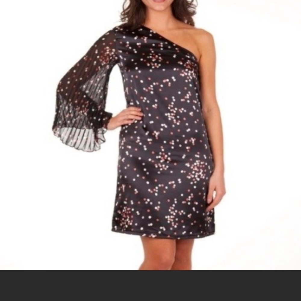 Tracy Negoshian dress